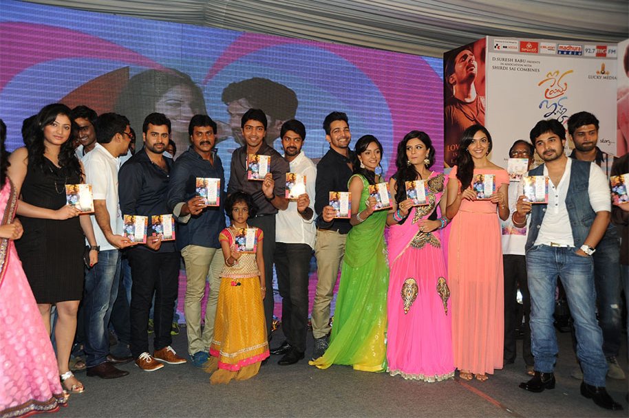Prema-Ishq-Kaadhal-Audio-Function